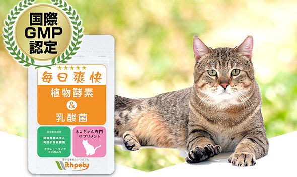 猫用サプリメント 毎日爽快 半額お試し 植物酵素 乳酸菌で病気になりにくい体に おすすめ無料サンプル トライアル お試しセットならサンプルボックス