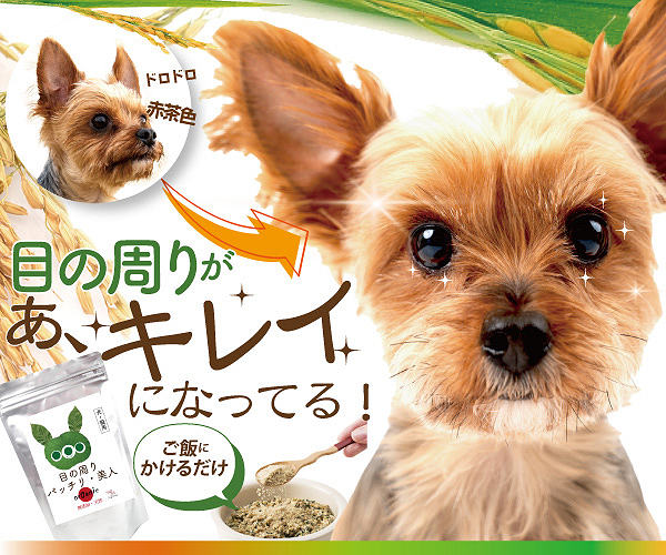 目の周りパッチリ美人本品20％OFF！犬の涙やけをサポート | おすすめ