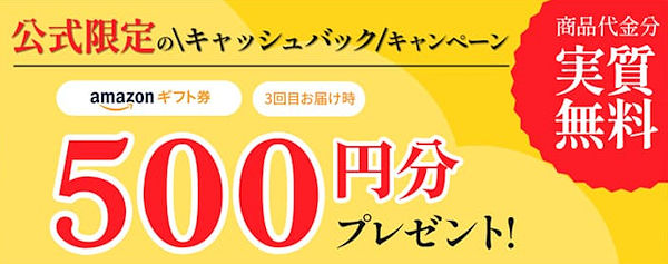 公式限定キャッシュバックキャンペーン
定期3回目、Amazonギフトカード500円分をプレゼント！初回商品代金分が実質無料